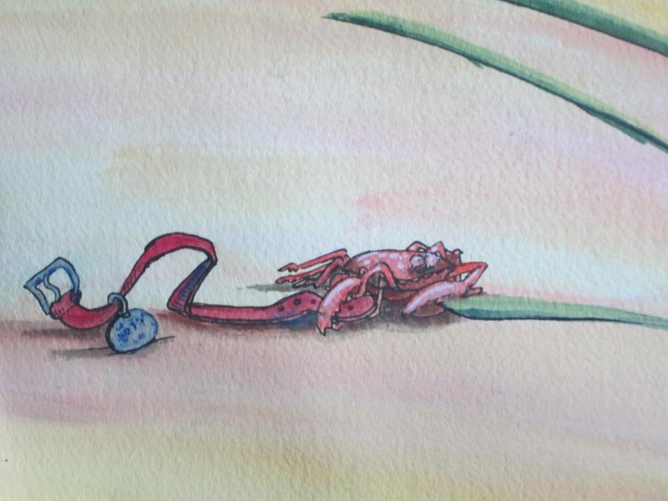 This image has an empty alt attribute; its file name is craband-collar.jpg